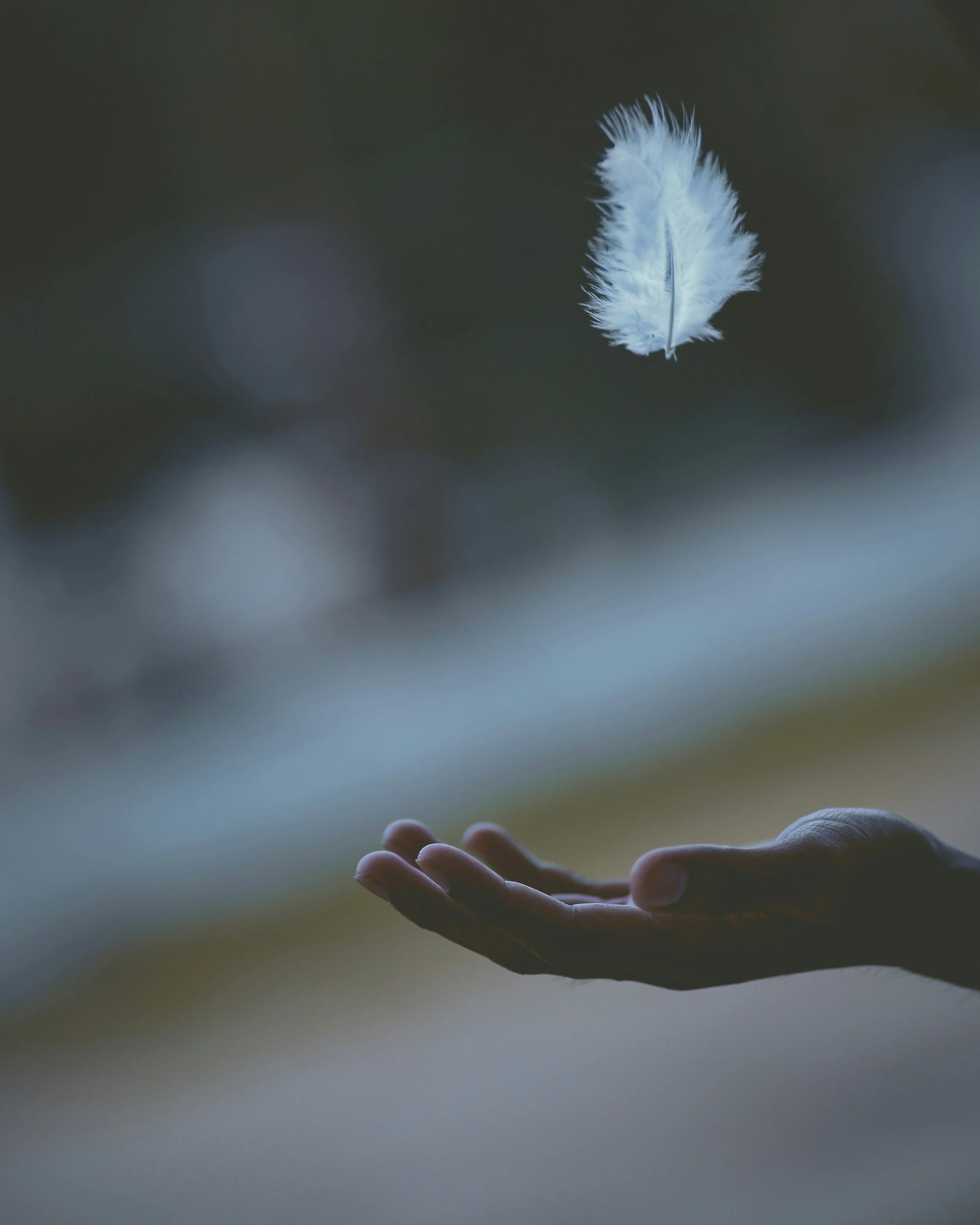 Trauma, PTSD & Childhood Counselling Vancouver support at Viva Counselling in Vancouver