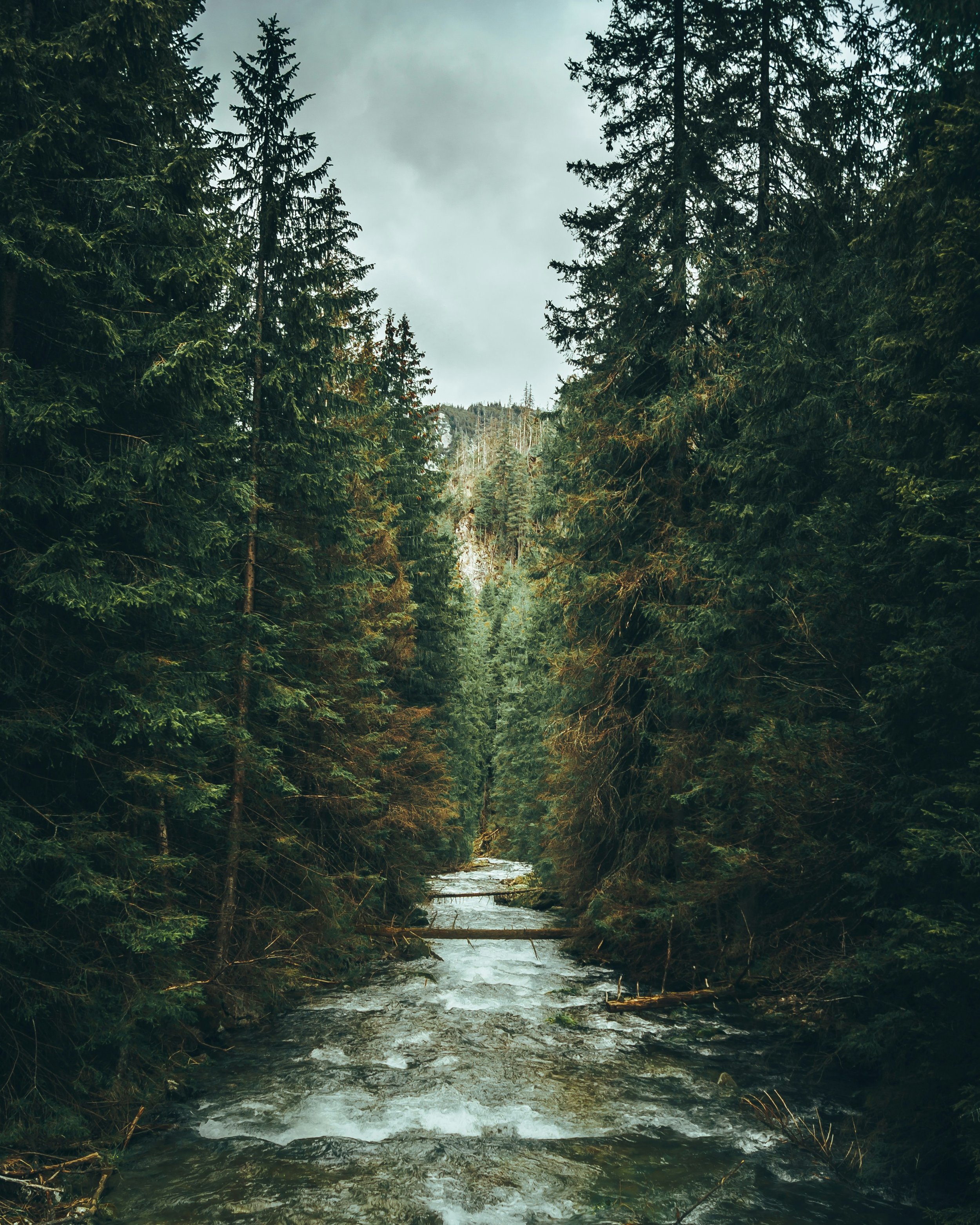 Trauma-Informed Care counselling method at Viva Counselling in Vancouver